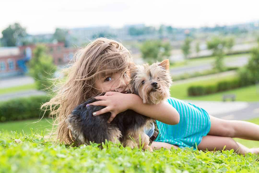 Portrait of girl keeping pretty dog outdoor